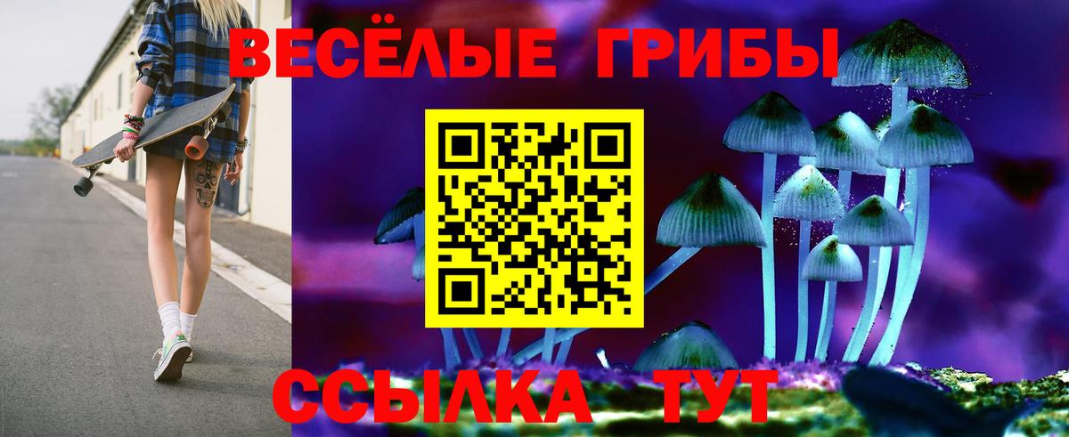 Отрадный  Галлюциногенные грибы прущие грибы  Вход с VPN  Галлюциногенные грибы мицелий 